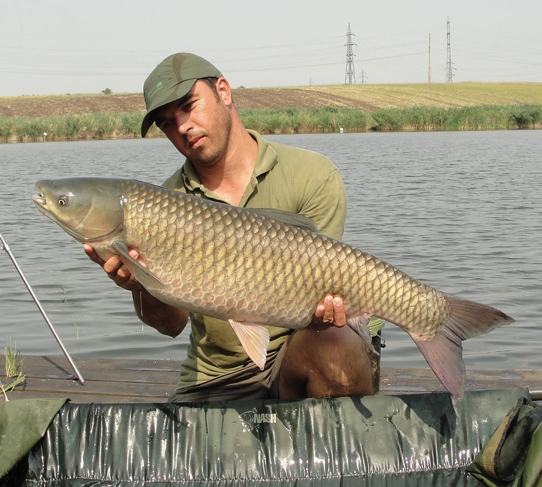 Balta LAZAR Alexandria  15 - 16 aug. - dsc01465.JPG